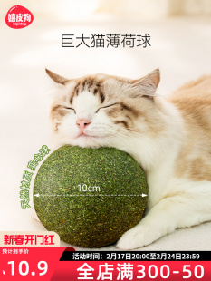 猫薄荷球超大猫玩具自嗨解闷神器磨牙猫草球逗猫棒猫咪用品木天蓼