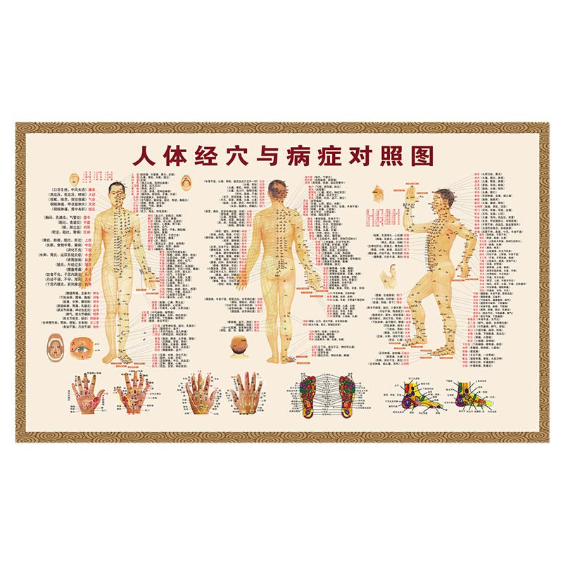人体经络穴位图标准大挂图海报