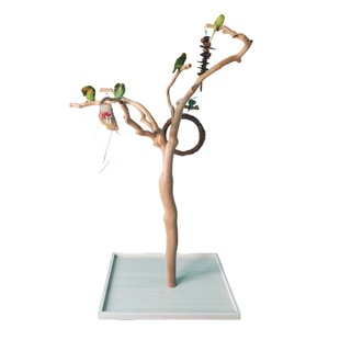 大型鹦鹉树枝鸟站架 自然造型优质落地训练架栖息地鹦鹉鸟架