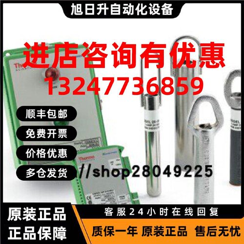 议价美国 赛默飞 拉姆齐  控制器  60-31G   原装进口   RAMSEY