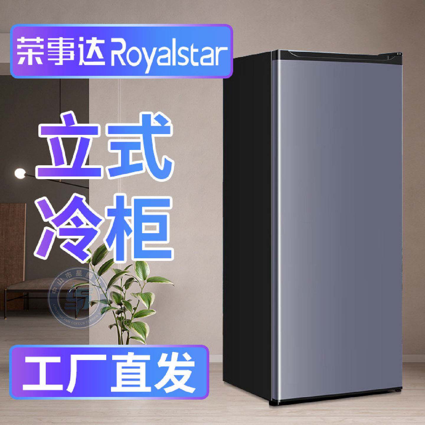荣事达全冷冻立式冰柜家用小型侧开门抽屉式茶叶母乳储奶急冻冰箱