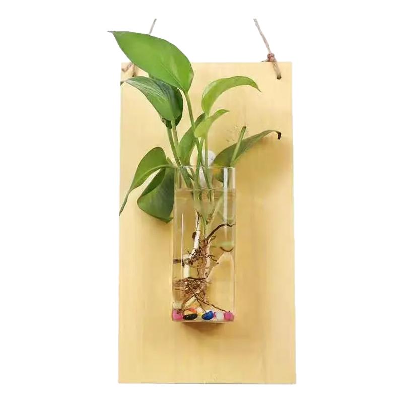 创意家居墙上水培植物玻璃花瓶