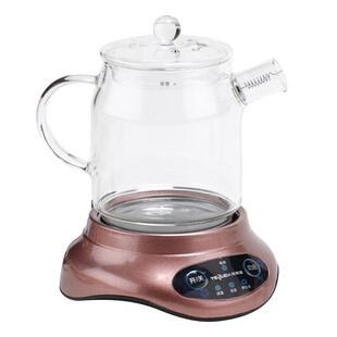 特莱雅养生壶纯玻璃迷你小容量家用办公室小型一人全玻璃煮花茶壶