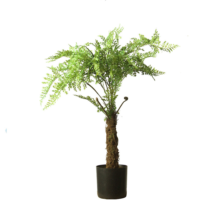 七茉仿真绿植大型盆景黑骨芒蕨类