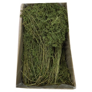 烘干胡萝卜缨兔子龙猫豚鼠保健牧草兔兔干草宠物兔饲料荷兰猪食物