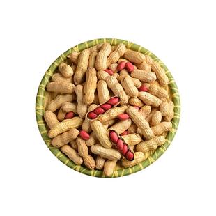 2025年新四粒红红皮带壳花生原味沙铁锅炒熟袋装年货农家零食坚果