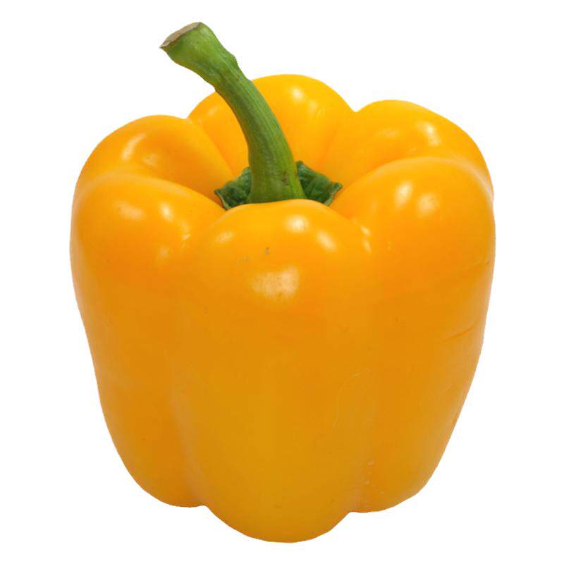 皇马彩椒黄色彩椒苗甜椒苗辣椒苗甜椒种子蔬菜苗春播蔬菜种子籽孑