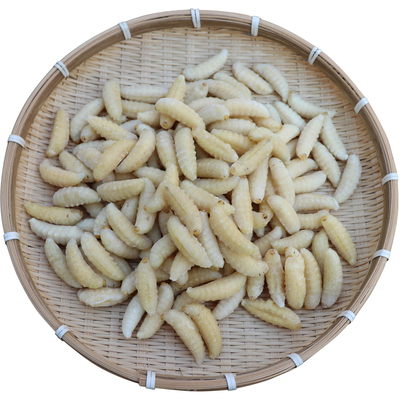 野生一级虎头蜂蛹天然蚂蜂新鲜