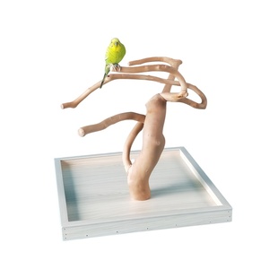 鹦鹉实木鸟架树枝拼接站架鹦鹉架桌面训鸟架游戏栖息实木站架站杆