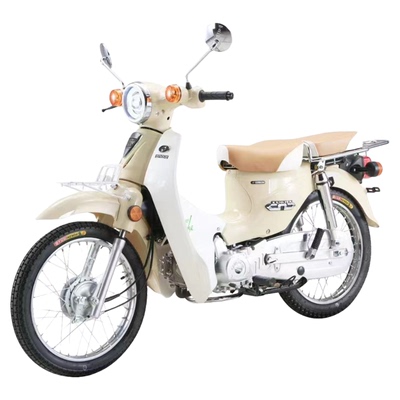 洛嘉110摩托车嘉陵coco可上蓝牌