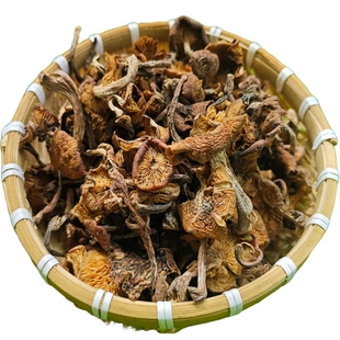 东北野生榛蘑干货小鸡炖蘑菇黑龙江蘑菇野生菌菇干榛蘑纯野生榛菇