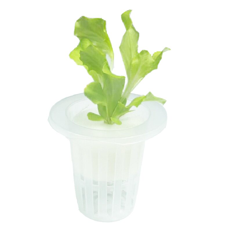 水培定植篮固根器无土栽培蔬菜设备塑料加深种植篮加定植海绵包邮