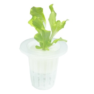 水培定植篮固根器无土栽培蔬菜设备塑料加深种植篮加定植海绵包邮