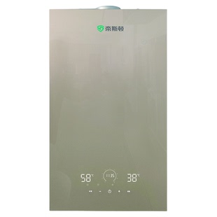 蒂斯顿燃气采暖壁挂炉家用采暖洗浴两用热水地暖取暖壁炉天然气