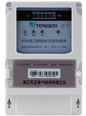TENGEN天正DTS256电子表