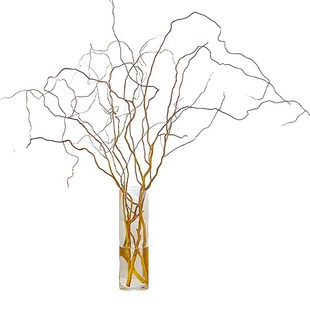 招财黄金龙柳枝条树干装饰室内高级感侘寂风天然真干花摆件插花枝