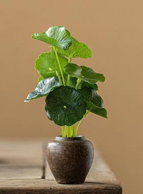 晟初中式复古禅意小花器陶瓷摆件家居茶室博古架桌面小装饰品摆设