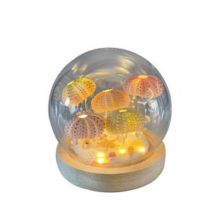 海胆水母灯&手工diy材料包海星贝壳玻璃球小夜灯桌面摆件生日礼物