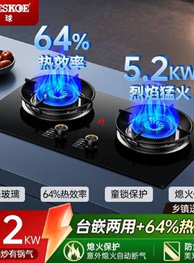 半球燃气灶家用双灶煤气灶天然气炉液化气灶猛火灶台一级能效