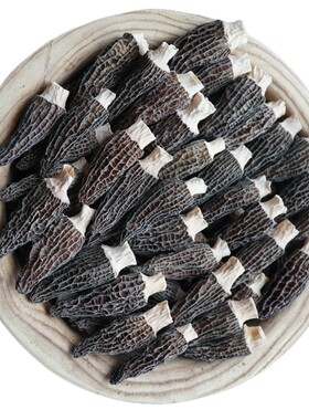 头茬羊肚菌菌味香浓小精品