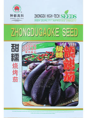 黑紫色特大四季盆栽秧苗种子