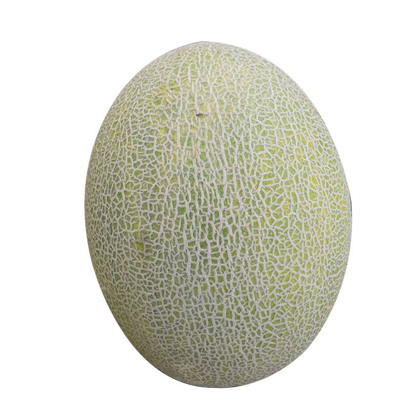 蜜冠哈密瓜种子甜瓜新疆香瓜春夏秋冬哈蜜瓜四季水果籽种孑南方北