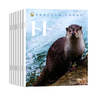 东方娃娃卜卜刊杂志2026年1/2月(2025年1-12月/全年/半年订阅)科学刊+婴儿版纸板书0-3岁宝宝启蒙早教绘本亲子阅读书幼儿画报过刊