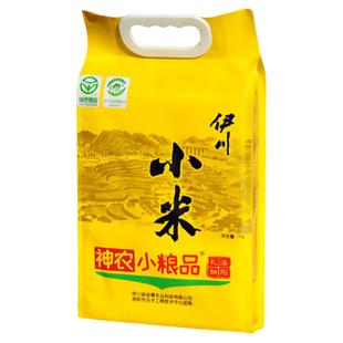 洛阳伊川金粟黄小米10斤袋装河南特产小米粥养胃月子粥五谷杂粮