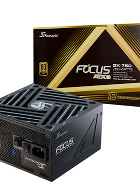 FOCUSGX1000v4ATX3.1金牌全模