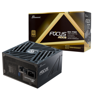 海韵FOCUS GX1000v4  ATX3.1金牌全模组--限时送ROG咖啡杯
