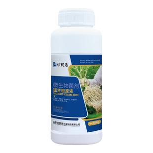 猛生根原液强力生根壮苗剂生根粉液移栽扦插蔬菜果树花卉通用生根