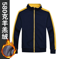 Тибетский синий с желтым краем