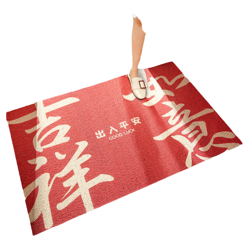 玄关地毯进门家用门垫门口脚垫