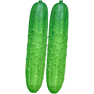 节节多水果黄瓜种子萝卜茄子葫芦唐山秋瓜青瓜满地爬津研蔬菜种籽