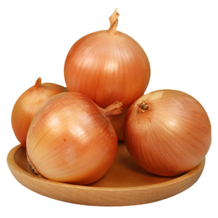 呈西优品景泰黄皮洋葱当季应季新鲜蔬菜生吃凉拌圆葱脆甜皮牙子