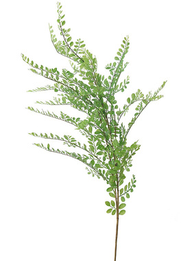 仿真绿植银线蕨九里香森系家居酒