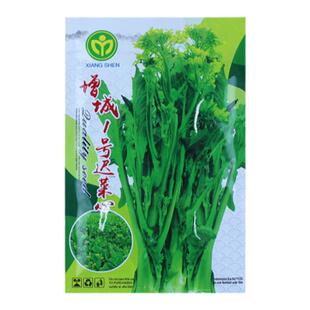 广东增城高脚迟菜心种籽连州菜苔种子甜冬天种的菜种孑菜籽正宗
