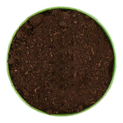 牛粪发酵有机肥家用养花种菜通用