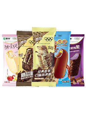 随变多种口味脆皮冰淇淋
