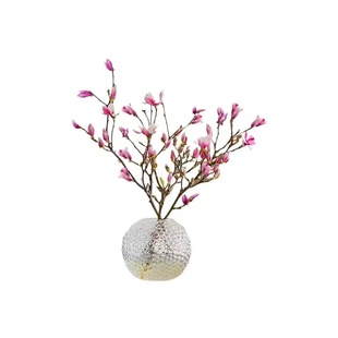 水培玉兰花鲜切枝带花苞腊梅干枝红梅鲜花卉室内好养四季开花植物