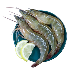 青岛鲜活大虾超大基围虾特大海虾速冻大青虾冷冻对虾虾类海鲜水产