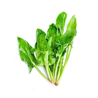 方震家庭阳台小菜园易成活