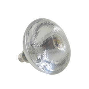 猪场保温灯小鸡保暖养殖场专用仔猪烤灯发热养鸡加热育雏取暖灯泡