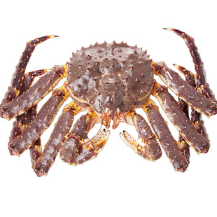 【活蟹】鲜活帝王蟹俄罗斯进口超大特大皇帝蟹大螃蟹鲜活海鲜蟹类