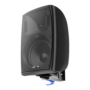 先科P6壁挂音响商店铺专用蓝牙功放套装挂墙式重低音室内餐厅音箱