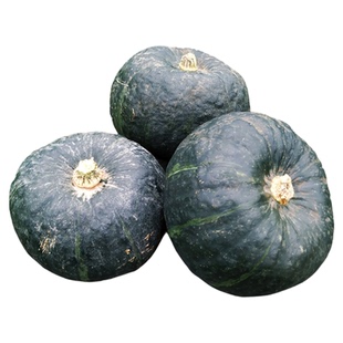 黄金籽正宗板栗味贝贝南瓜小南瓜新鲜进口宝宝粉糯香甜惠和包邮