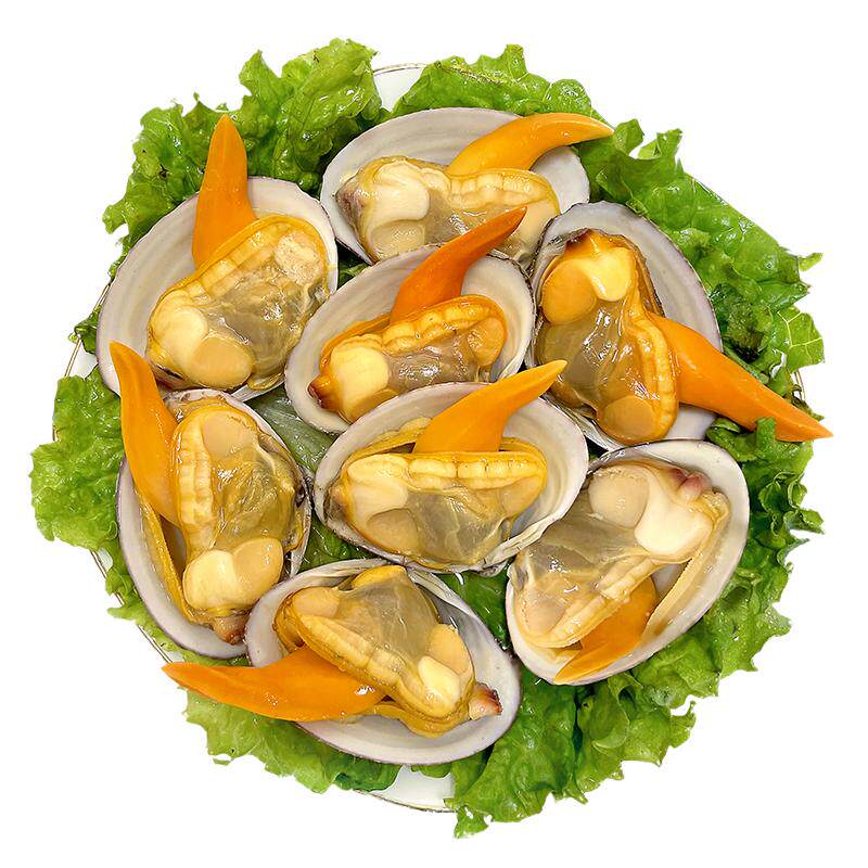 丹东特产特大号大文贝野生鲜活无沙东港黄贝纹贝黄蚬子黄金贝4斤