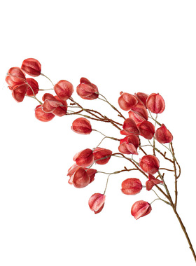 栾树果仿真花灯笼果摆件客厅假花摆设新年装饰年宵花酸浆果树枝花
