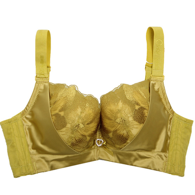 聚拢刺绣有钢圈内衣奥维丝丽