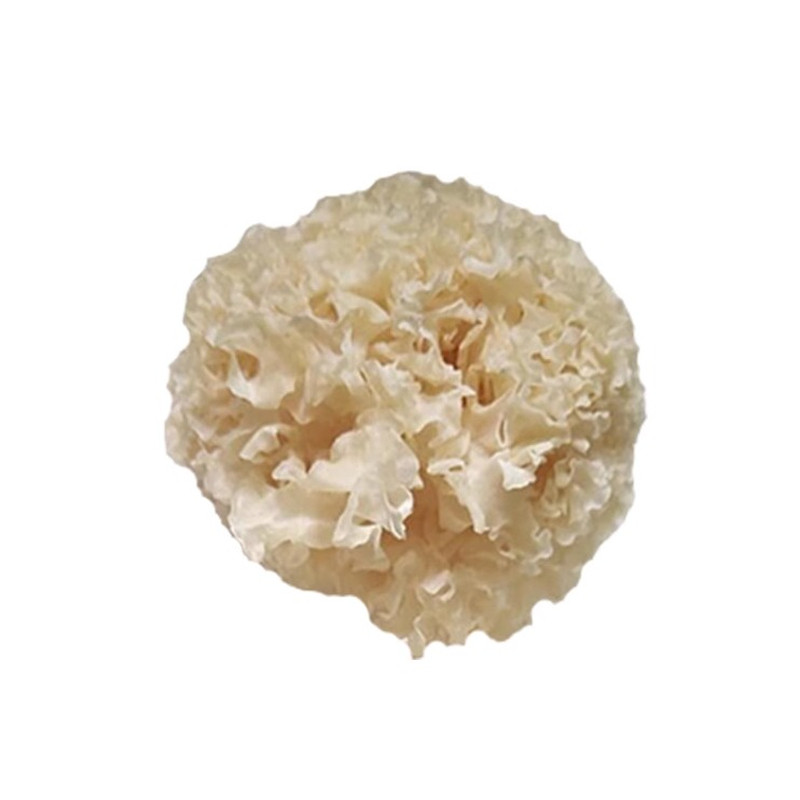 古田头茬银耳干货500g野生椴木白木耳本草雪耳羹燕窝冻干冲泡即食
